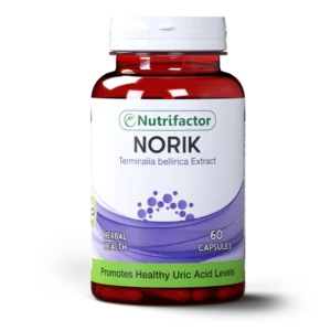 Norik