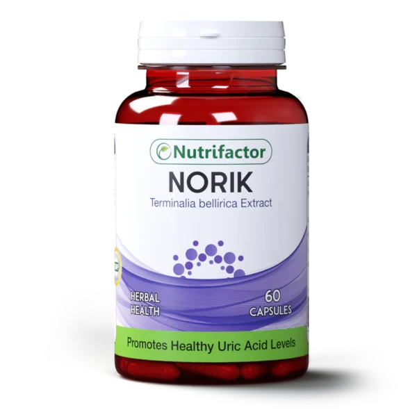 Norik